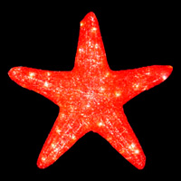 STARFISH