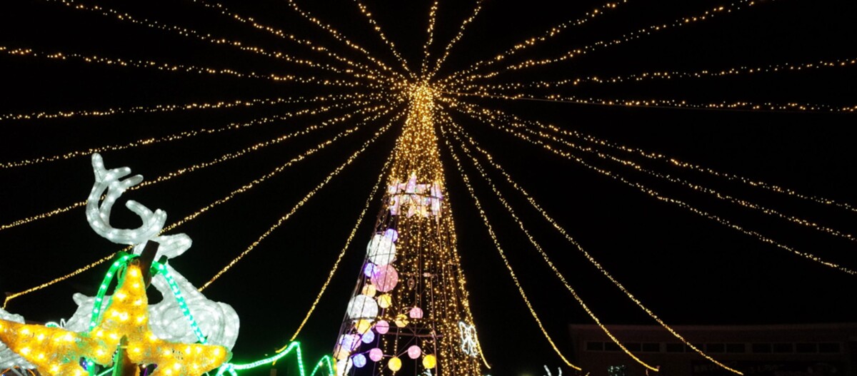 販売・使用するイルミネーション資材は、防水・防塵機能IP67等級を取得したタフなプロ用耐候性資材