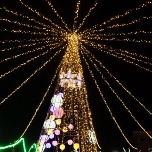 販売・使用するイルミネーション資材は、防水・防塵機能IP67等級を取得したタフなプロ用耐候性資材